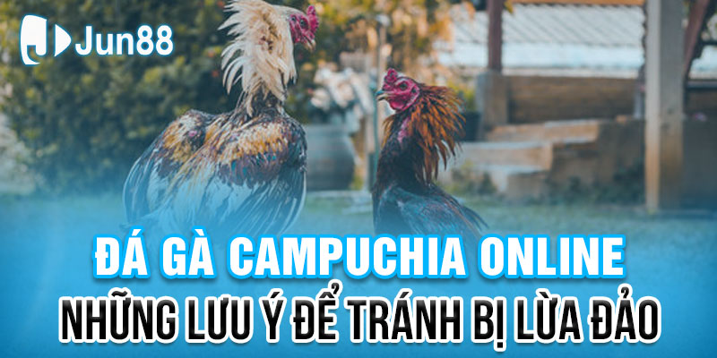 Đá gà Campuchia: Những Lưu Ý Cần Thiết Tránh Bị Lừa Đảo